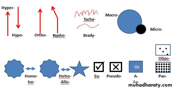 A course in medical terminology