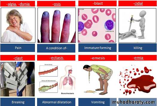A course in medical terminology