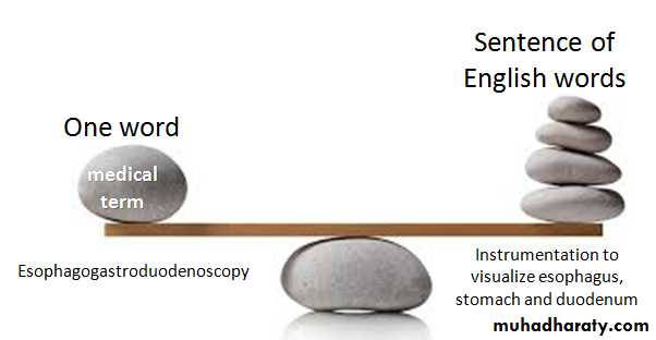 A course in medical terminology