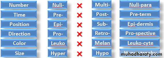 A course in medical terminology