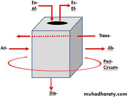 A course in medical terminology