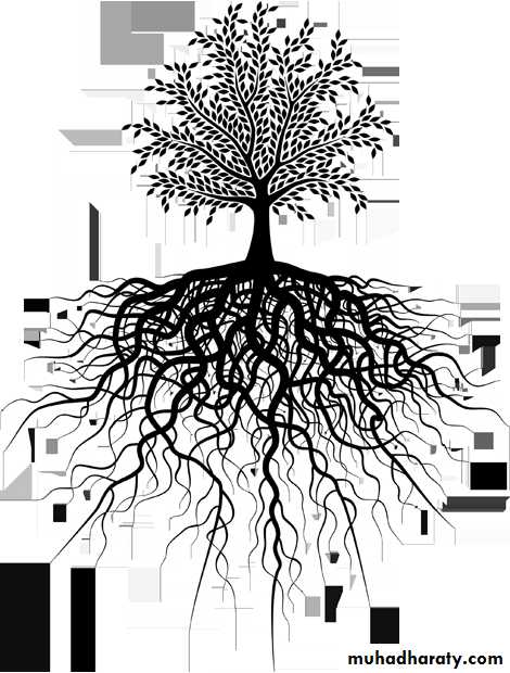 A course in medical terminology