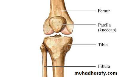 A course in medical terminology