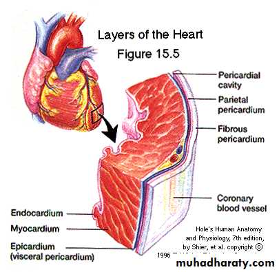 A course in medical terminology