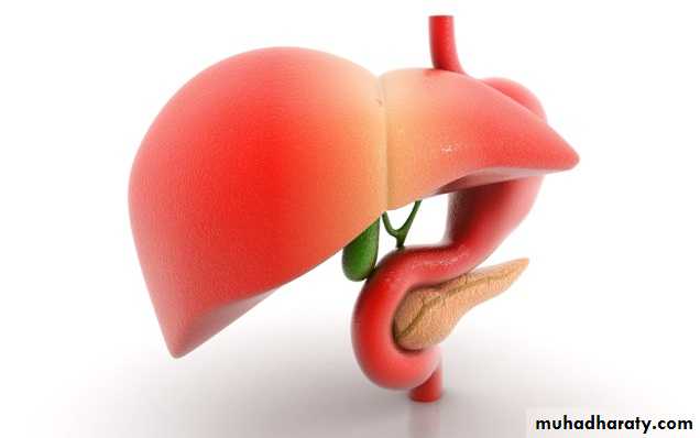 A course in medical terminology