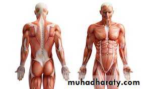 A course in medical terminology