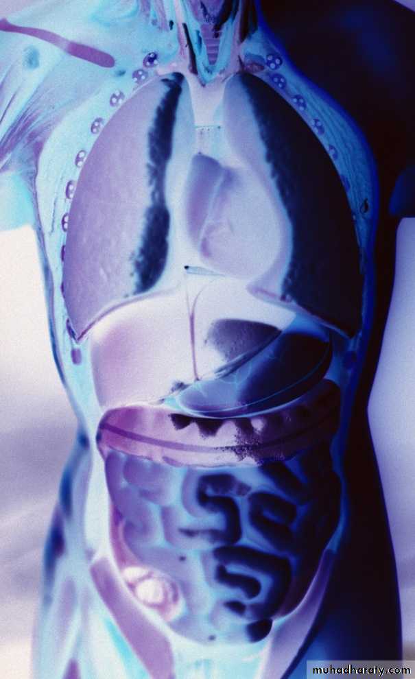 A course in medical terminology