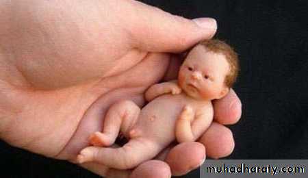 A course in medical terminology