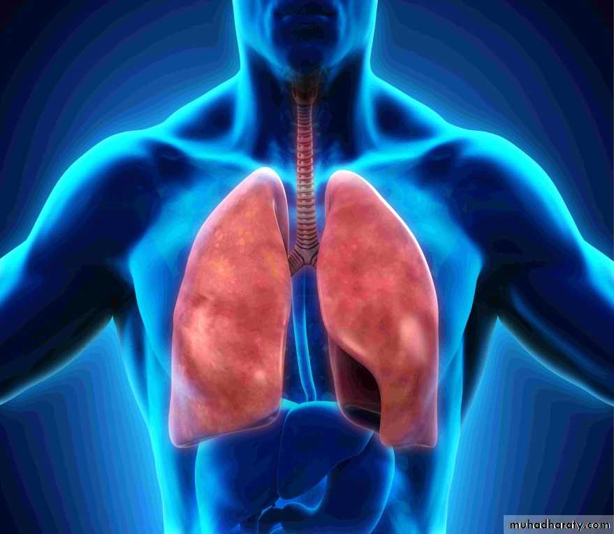 A course in medical terminology