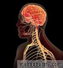 A course in medical terminology