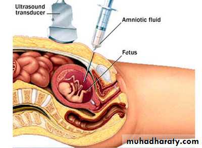 A course in medical terminology