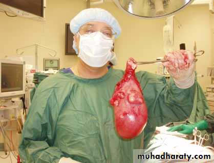 A course in medical terminology