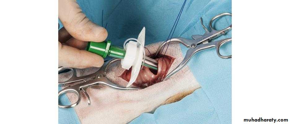 A course in medical terminology