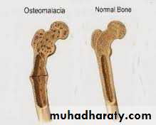 A course in medical terminology
