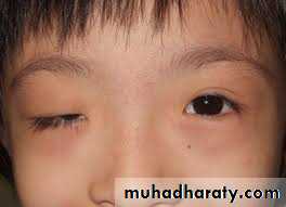 A course in medical terminology