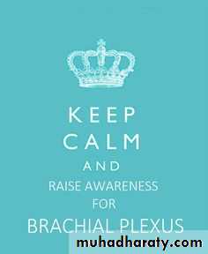 brachial pl