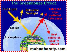 Man and environment