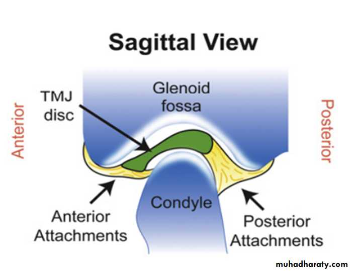 Jaw relationship II