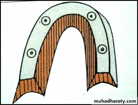 Jaw relationship II