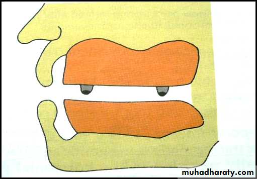 Jaw relationship II