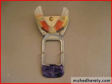 Jaw relationship II