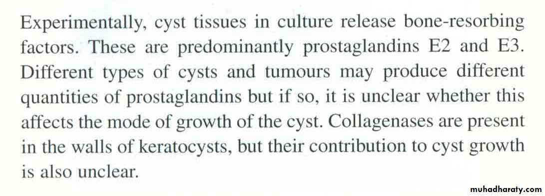 Cyst