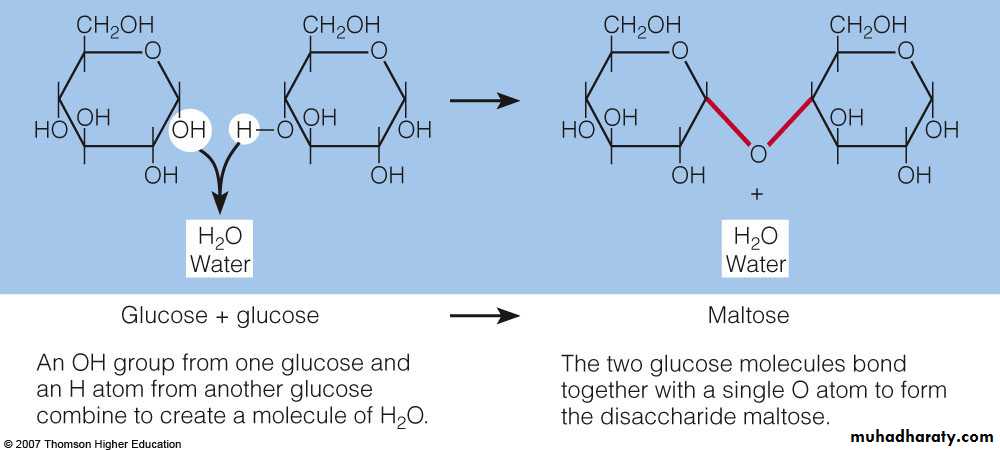 Biochemistry