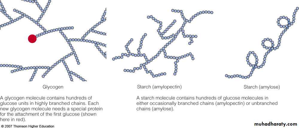 Biochemistry