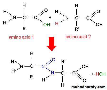 Biochemistry