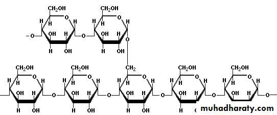 Biochemistry