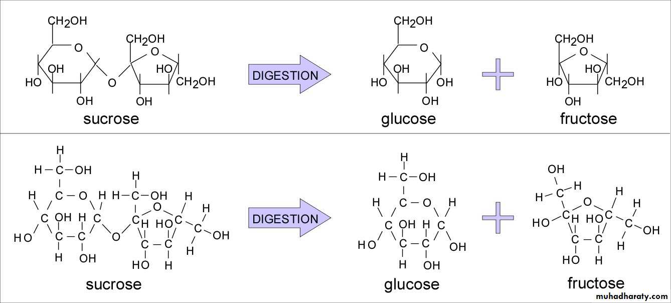 Biochemistry