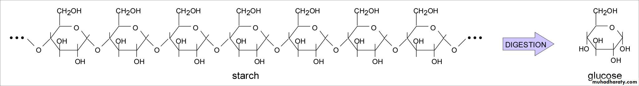Biochemistry