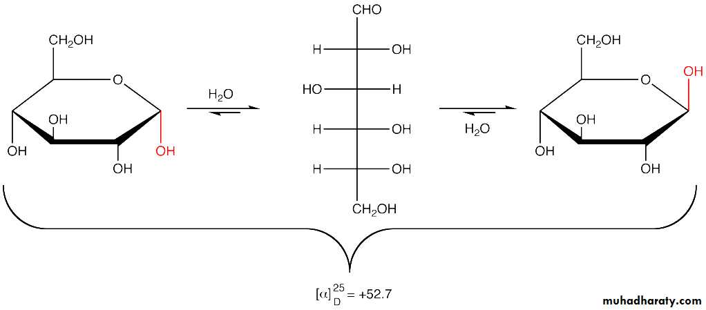 Biochemistry
