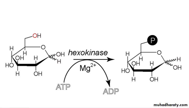 Biochemistry