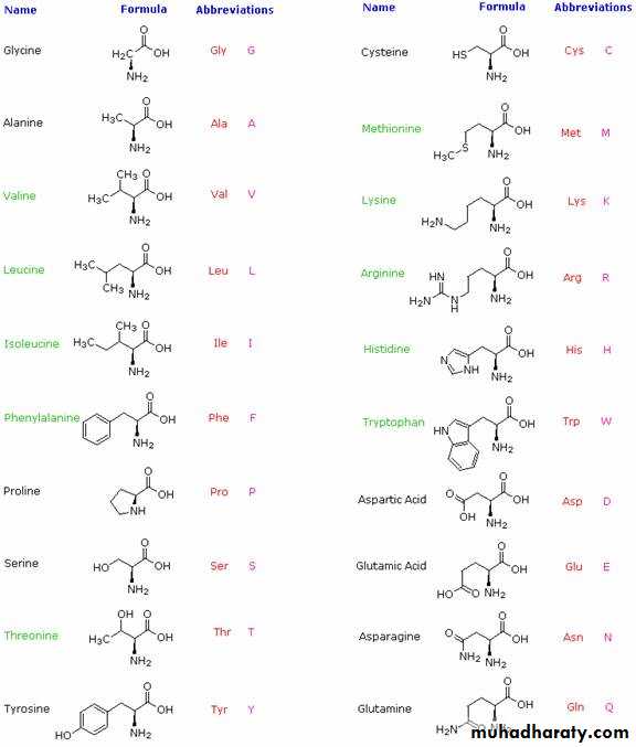 Biochemistry