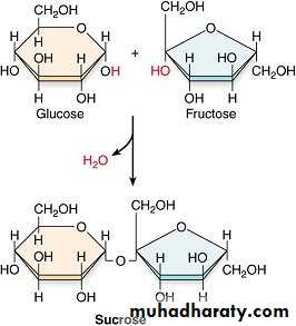 Biochemistry