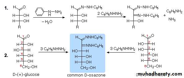 Biochemistry