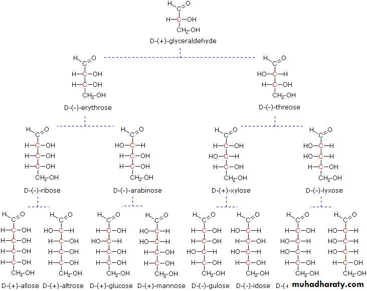 Biochemistry