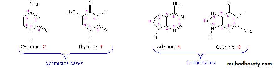 Biochemistry
