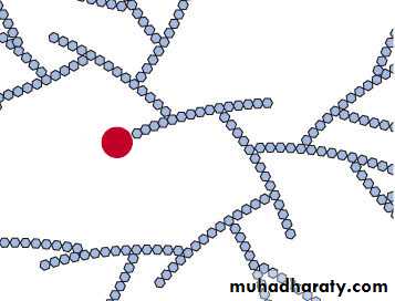 Biochemistry