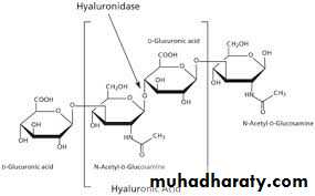 Biochemistry