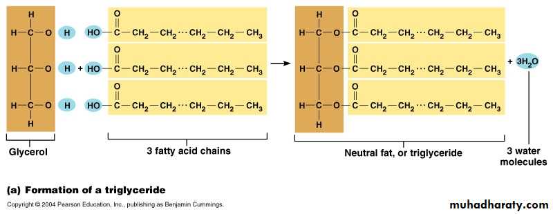 Biochemistry