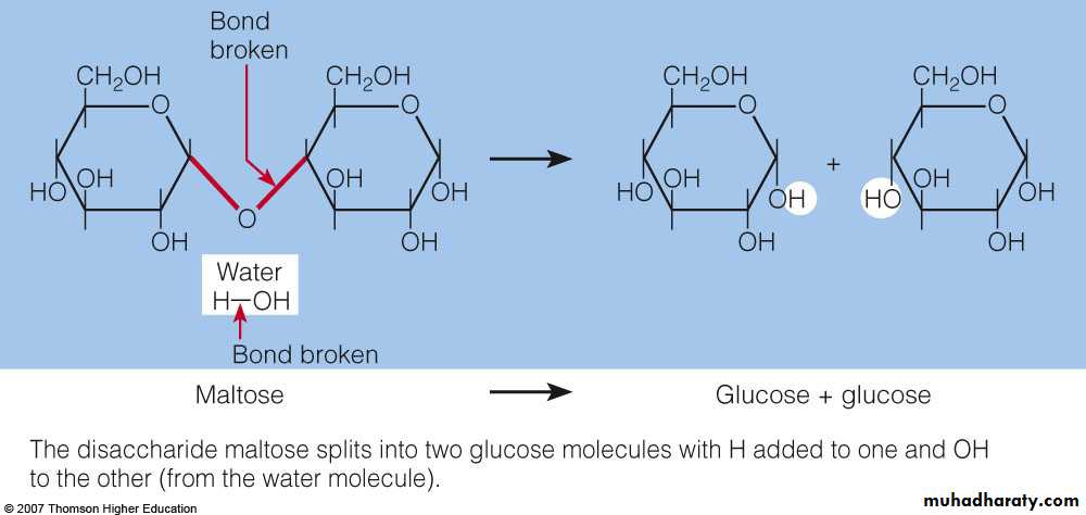 Biochemistry