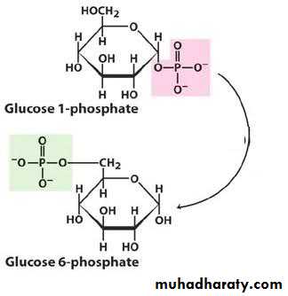 Biochemistry