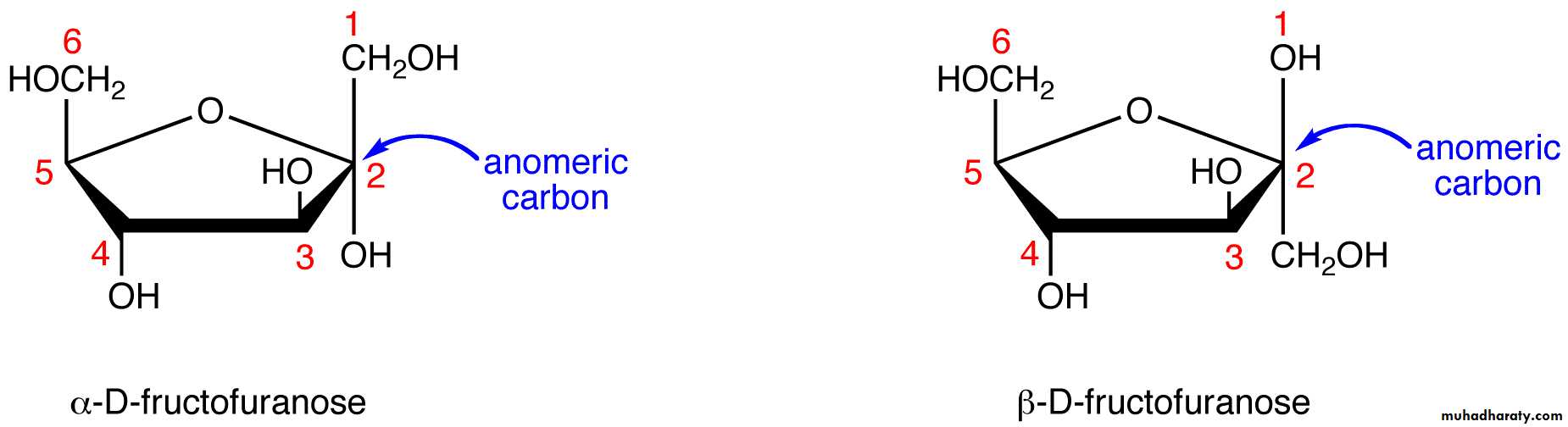 Biochemistry