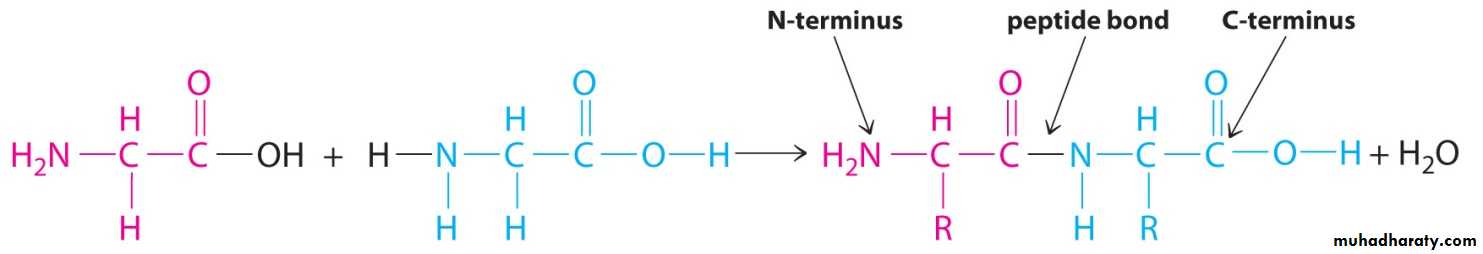 Biochemistry