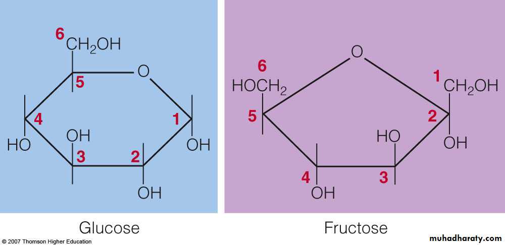 Biochemistry