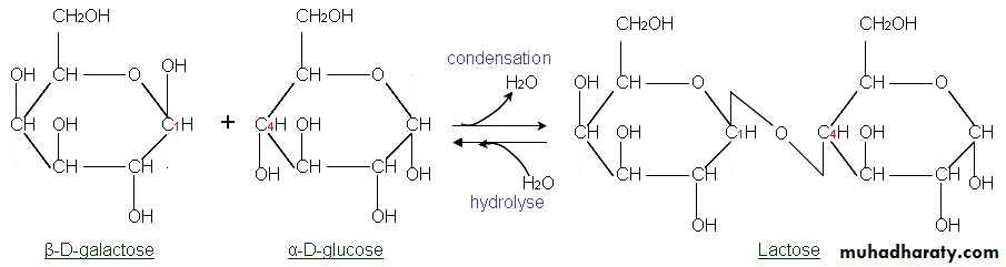 Biochemistry