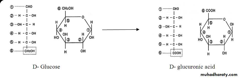 Biochemistry