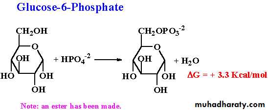 Biochemistry